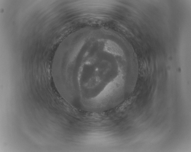 X0000071941013200607281938