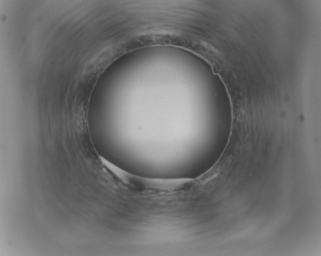 X0000071941014200607281938