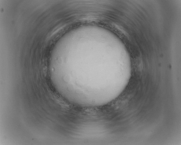 X0000071941015200607281938