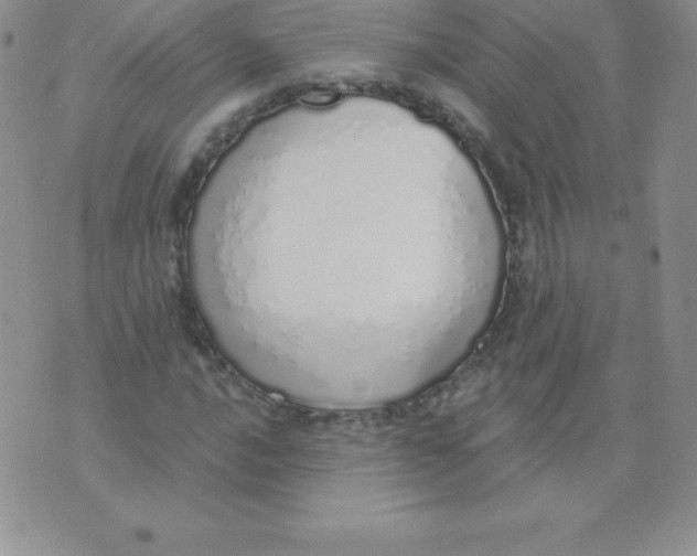 X0000071941016200607281938