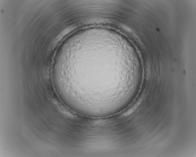 X0000071941017200607281938