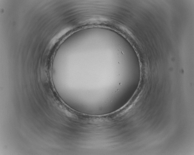 X0000071941018200607281938