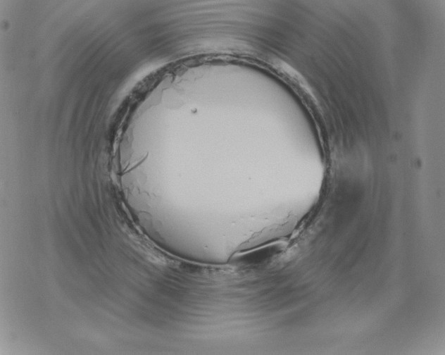 X0000071941019200607281938