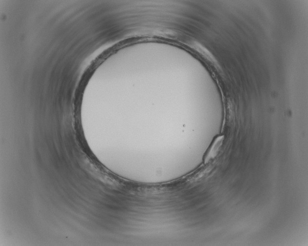 X0000071941020200607281938