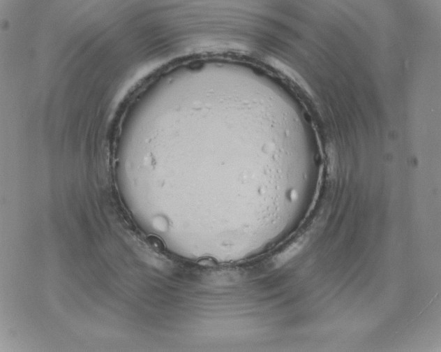 X0000071941021200607281938