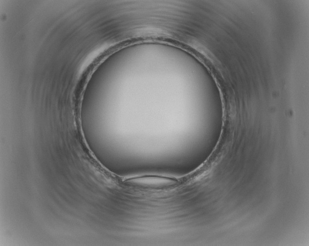 X0000071941022200607281938