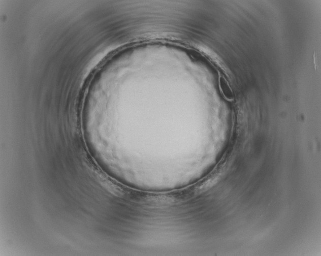 X0000071941023200607281938