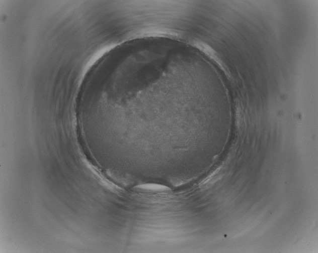 X0000071941024200607281938