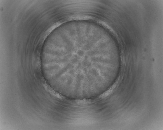 X0000071941025200607281938