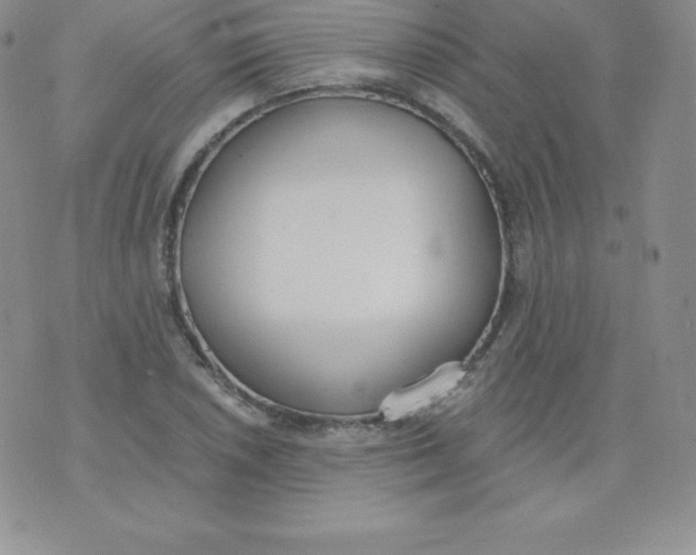 X0000071941026200607281938