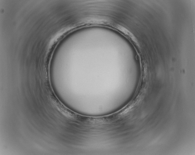 X0000071941027200607281938