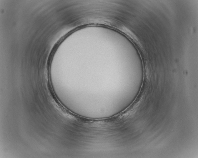 X0000071941028200607281938