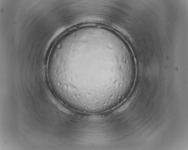 X0000071941029200607281938