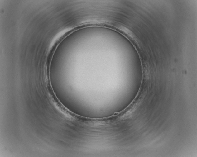 X0000071941030200607281938