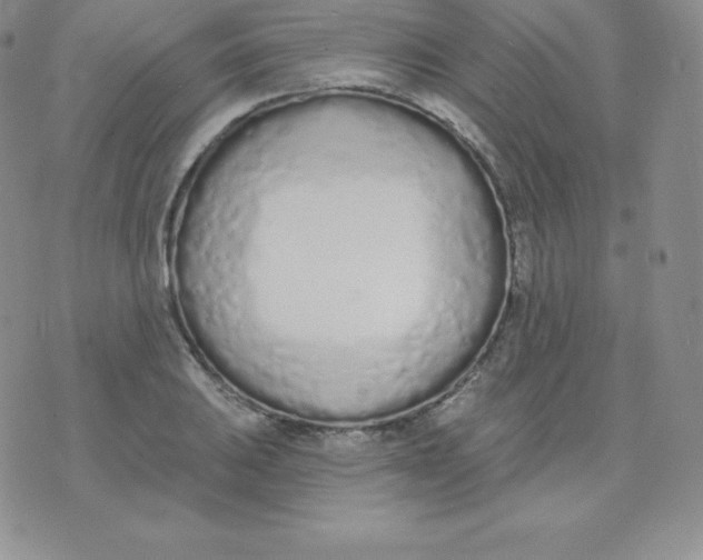 X0000071941031200607281938