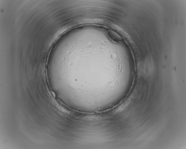 X0000071941033200607281938