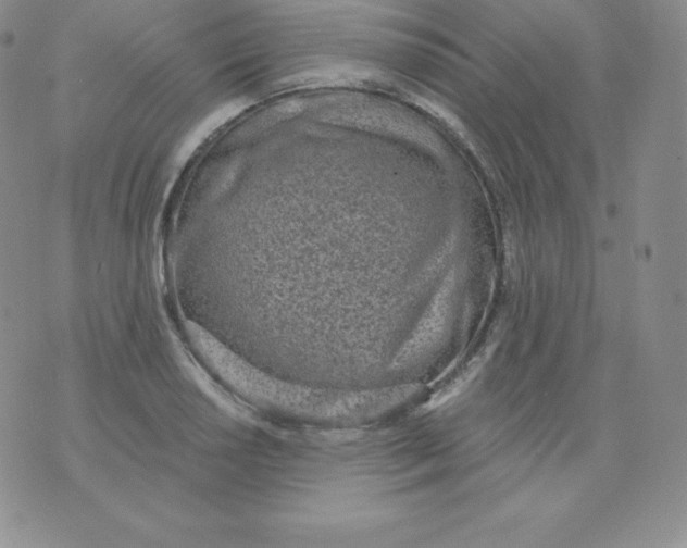 X0000071941034200607281938