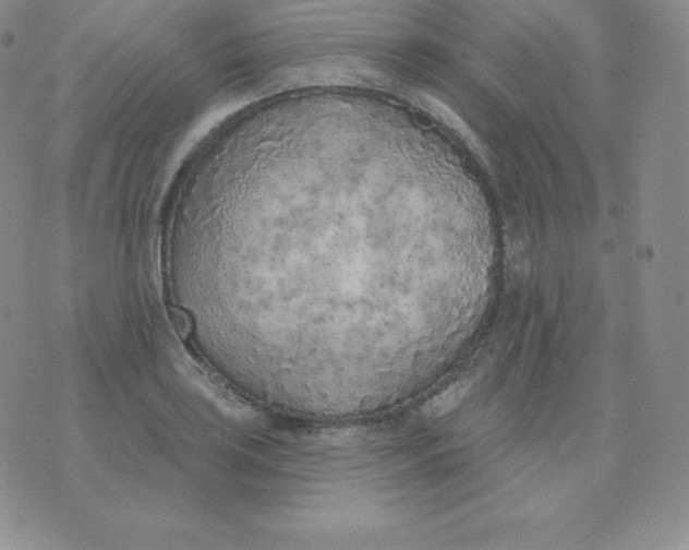 X0000071941035200607281938