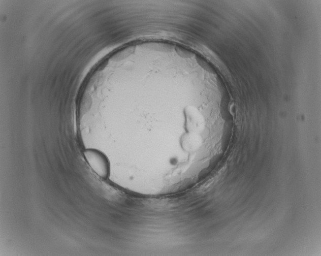 X0000071941036200607281938