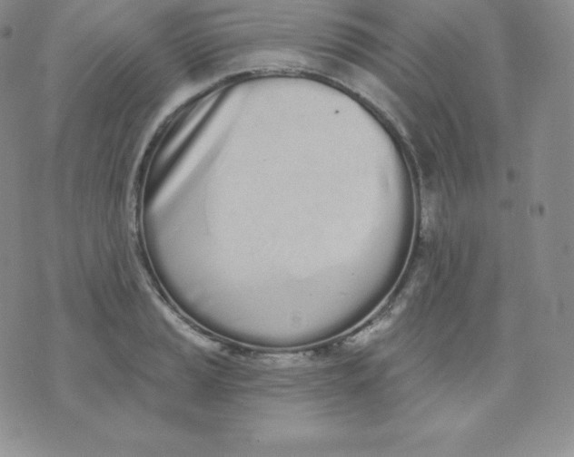 X0000071941037200607281938