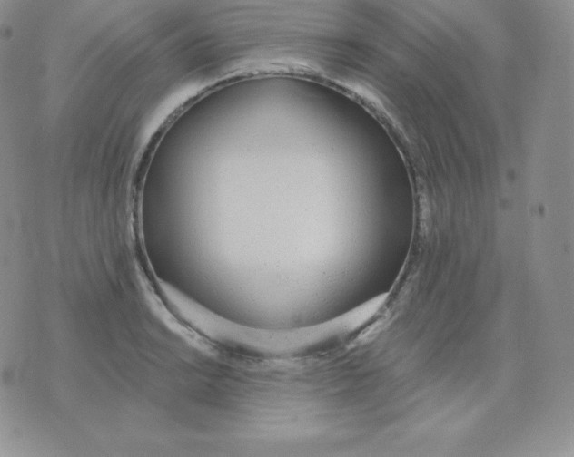 X0000071941038200607281938