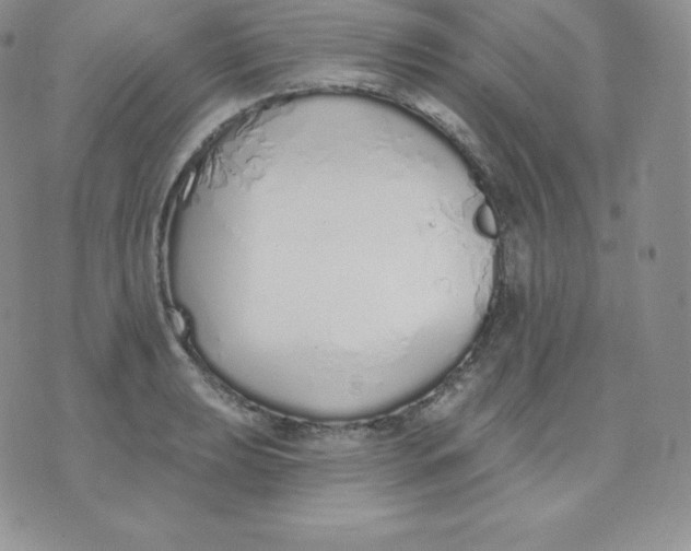 X0000071941039200607281938