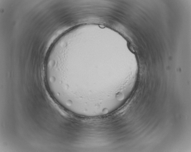 X0000071941040200607281938