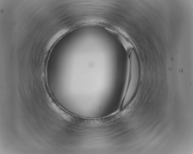 X0000071941042200607281938