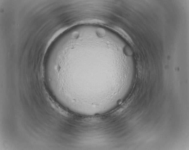 X0000071941044200607281938