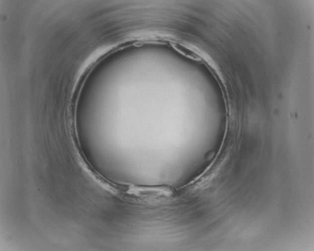 X0000071941045200607281938