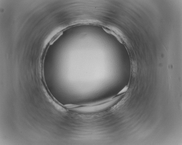 X0000071941046200607281938