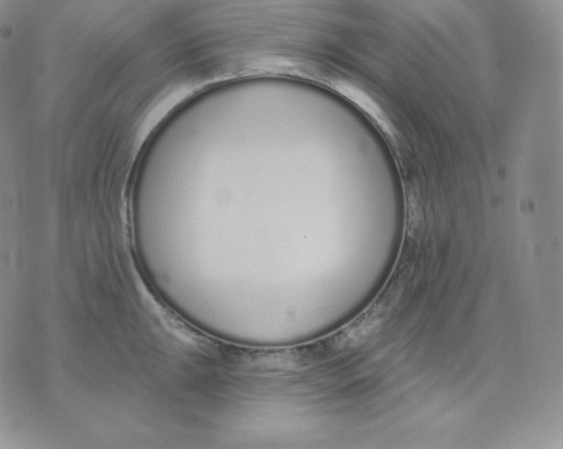 X0000071941047200607281938