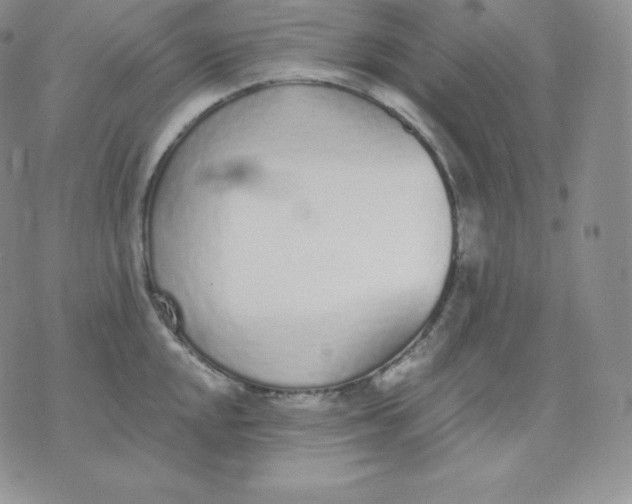 X0000071941048200607281938