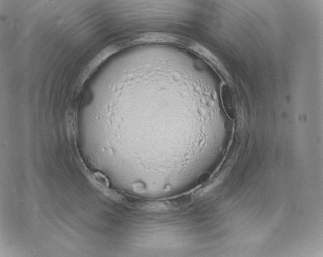 X0000071941049200607281939