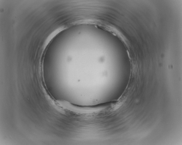 X0000071941050200607281939