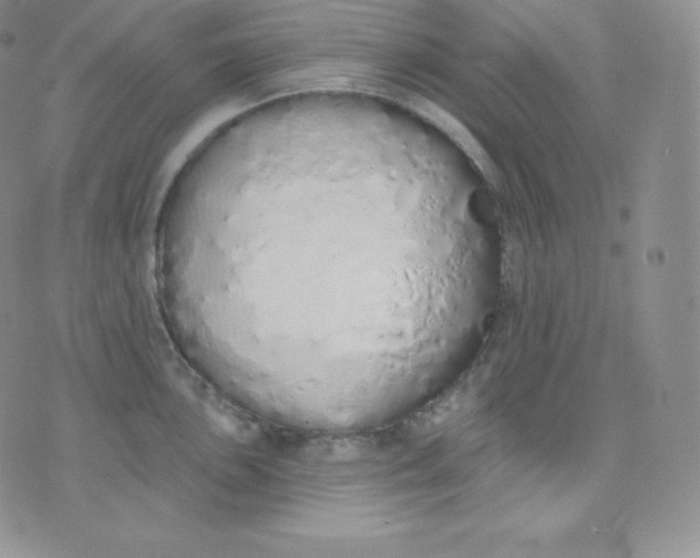 X0000071941051200607281939