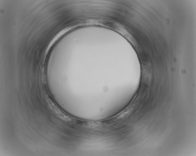 X0000071941052200607281939