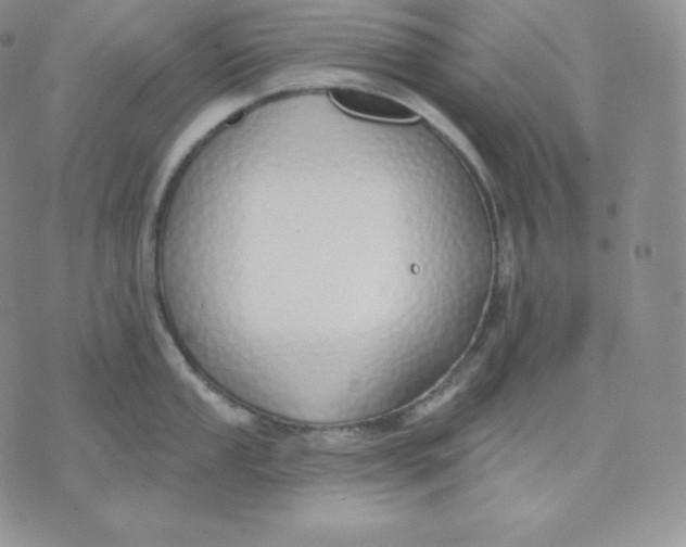 X0000071941053200607281939