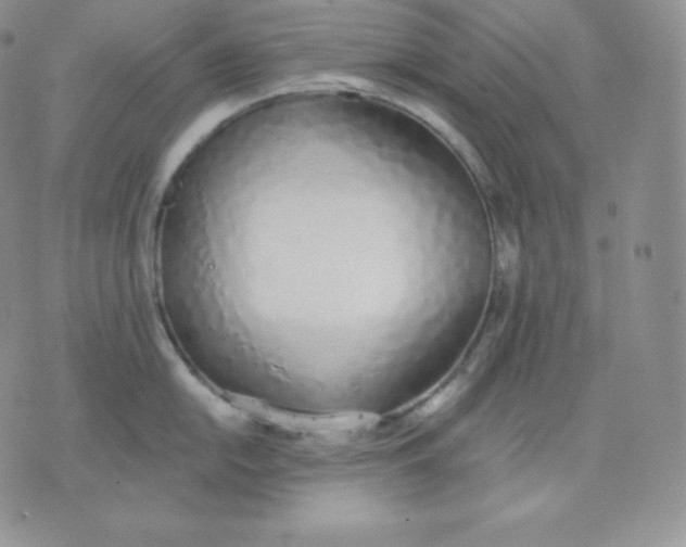 X0000071941054200607281939