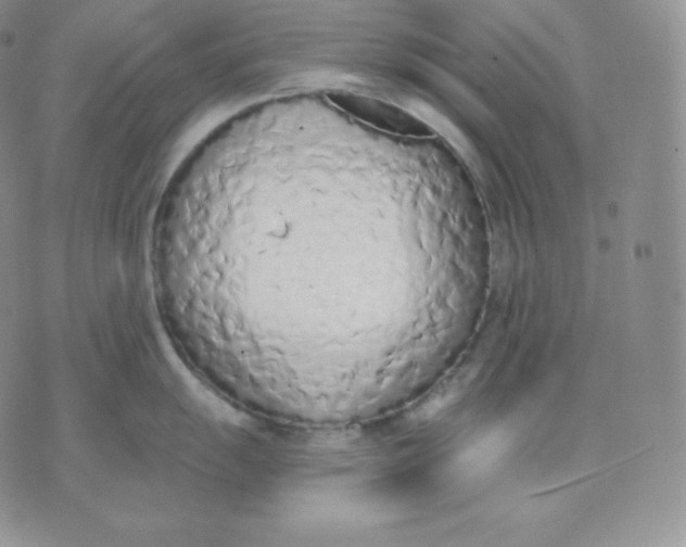 X0000071941055200607281939