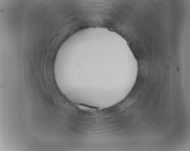 X0000071941057200607281938