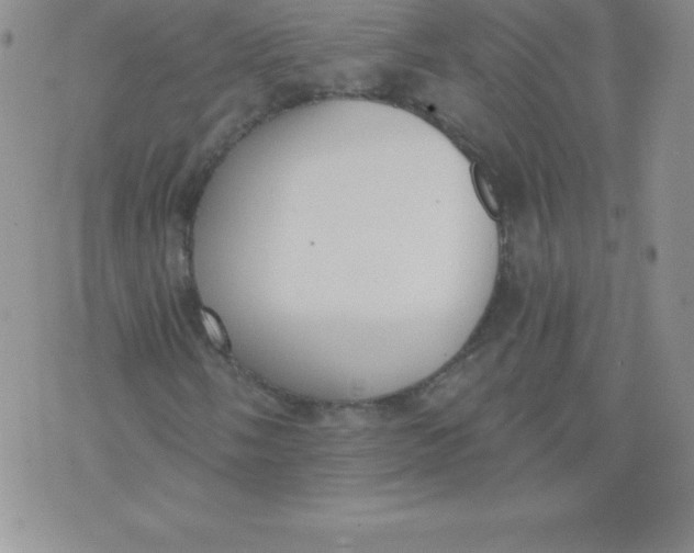 X0000071941058200607281938