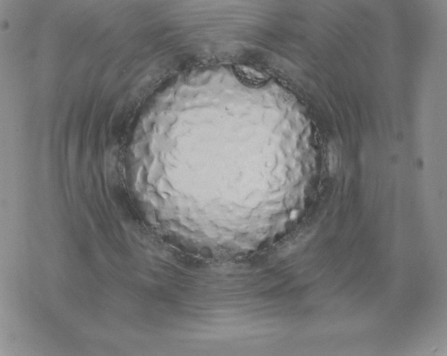 X0000071941059200607281938