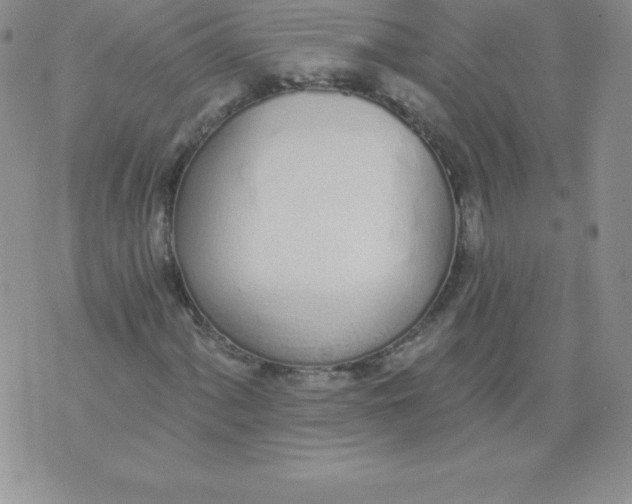 X0000071941060200607281938