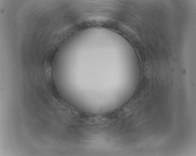 X0000071941061200607281938