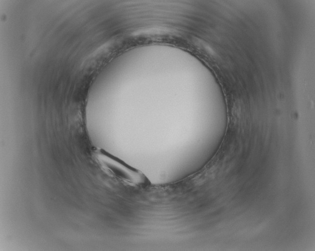 X0000071941062200607281938