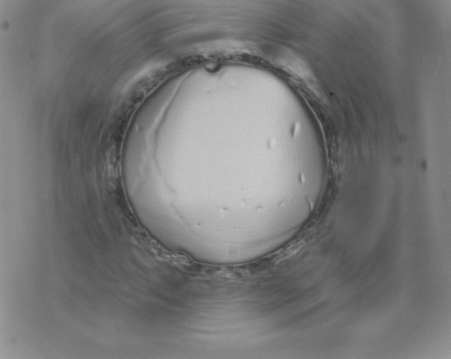 X0000071941063200607281938