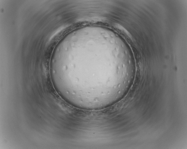 X0000071941064200607281938