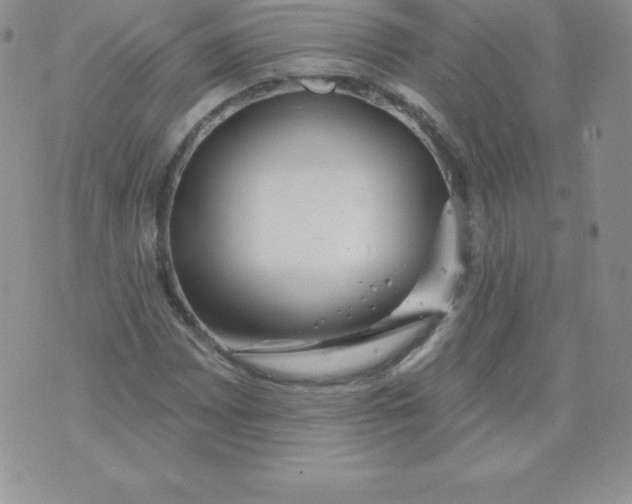 X0000071941065200607281938