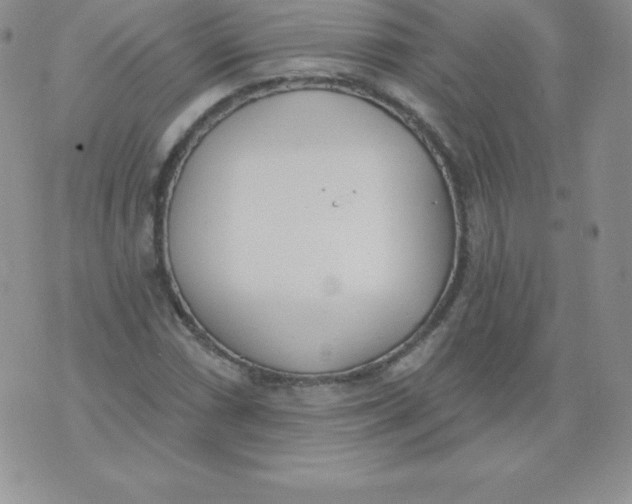 X0000071941066200607281938